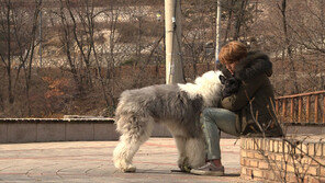 [오늘의 채널A] 강인의 옛 반려견 만난 춘향이