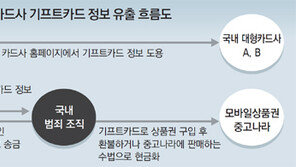 [단독]비번역할 ‘CVC’ 수없이 틀려도 차단장치 없었다 