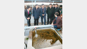 FAO 세계수산대학 국내 후보지 ‘부산’…10년간 생산 유발 효과 1560억원 기대