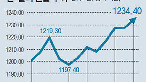 원달러 환율, 정부 우려에도 가파른 상승