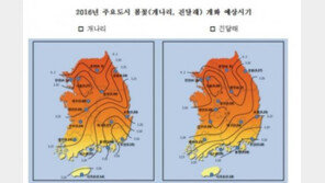 [전국 주말 날씨 정보]평년보다 포근, 봄꽃은 언제 피나?