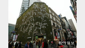 독도, 관광객 덕에 18%↑… 세종, 인구 늘어 13%↑