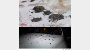 끈적끈적한 검은 비 쏟아져, 공포