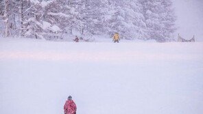 일본 홋카이도, 영화 ‘러브레터’로 걸어 들어가다