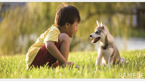 가족을 잃은 슬픔, 당신도 펫로스증후군이신가요?