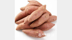 고구마 칼로리, 감자보다 2배 높지만 다이어트에 효과적…이유는?