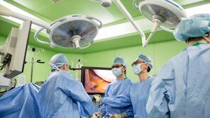 [Health&Beauty]2D의 시야 한계 극복 “직접 눈으로 보는 것처럼 느껴져” 