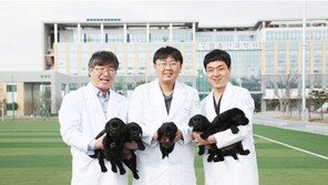 복제견의 활약..인천공항 검역탐지견 14마리중 8마리