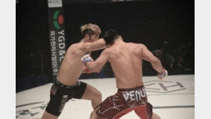 국내 첫 ‘종합격투기 대축제’ 열린다