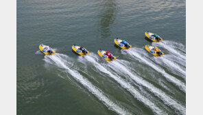 모터별 펠러 지급이 어선규 발목 잡나?