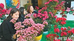 철쭉도 사람도 활짝 피었습니다