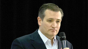 크루즈 ‘거짓말 홍보영상 - 흑색선전’ 부메랑