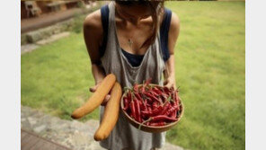 이효리 근황, 집 찾아오는 관광객에 하소연 “아침부터 밤까지 수십차례 초인종”