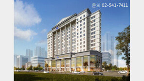 2016년 핫이슈 수익형 부동산 분양