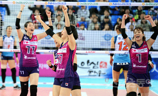 이재영 19득점…흥국생명 ‘PO 매직승점 4’