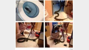 세상에서 가장 무서운 화장실