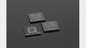 삼성, 스마트폰용 메모리 ‘256GB UFS’ 양산