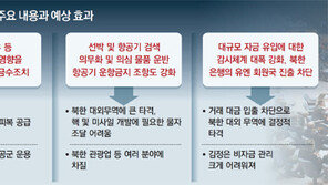 [안보리 대북제재 윤곽]美-中 합의 ‘결의안 초안’ 내용은 
