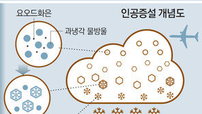 “평창올림픽 눈 걱정 마세요” 