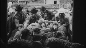 南에선 면화, 北에선 양… 일제 조선수탈 영상 확인