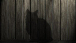 천사 같던 애널리스트, 고양이에게는 악마짓