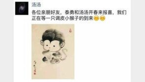 탕웨이 엄마 된다 “개구쟁이 원숭이 기다려”