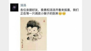 탕웨이·김태용, 원숭이띠 아기 임신 “개구쟁이 원숭이를 기다리고 있다”