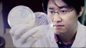 국내 연구진, 이산화탄소로 아세톤 만드는 기술 개발 