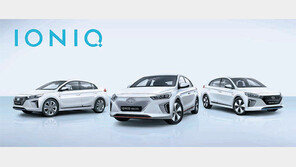 “제네바 오시면 車연비자랑 마세요”