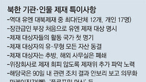 무기자금 조달책 활동지역 ‘러시아-베트남-이란’ 첫 명시