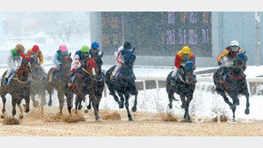 황혼의 ‘피노누아’, 함박눈 뚫고 화려한 독주