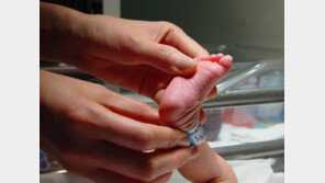 “노산 대비” 35-40세 전문직女 난자 보관 ‘쑥↑’ 