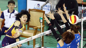 도로공사, 플레이오프행 좌절