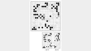[바둑]제59기 국수전… 벌써 종반