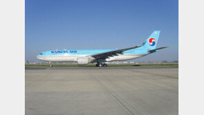 대한항공, 印제트에어웨이즈 공동운항 마일리지 제휴