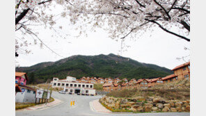 코레일관광개발, 곡성강빛마을 펜션 운영 개시