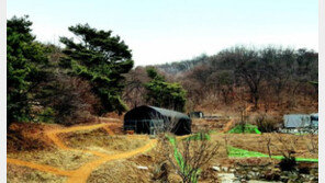 [화제의 분양현장]강남권 접근성 탁월한 과천 자연녹지로 시세차익 노려볼까? 