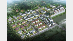 [화제의 분양현장]강남까지 30분, 1억 원 초반 실입주 타운하우스 