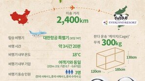 시진핑 선물 ‘판다’..다음달 에버랜드서 공개