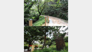 스템프투어로 힐링하세요