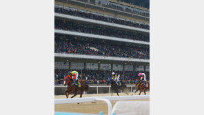 [홍당무의 경마오디세이] 출마·낙마·대항마…‘선거는 경마를 좋아해’