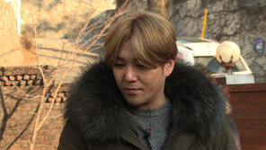 [오늘의 채널A] 본가 강아지들 입양 돕는 강인