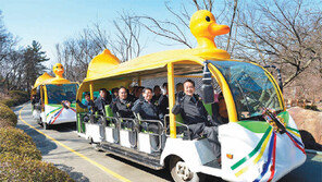 대구 화원동산 전기자동차