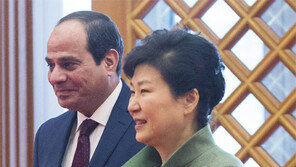 시시 이집트 대통령 “한국기업 진출, IS문제 해결에 도움”