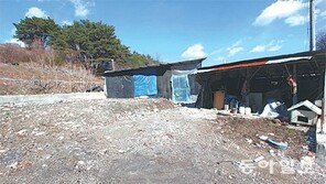 적십자사, 화재로 집 잃은 10대 소녀에 ‘보금자리’ 제공