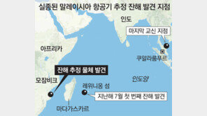 실종 2년 지나 발견된 파편… 말레이機 미스터리 풀릴까