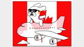 [어디까지 가봤니]③캐나다.."미국과 좀 달라요"