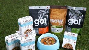 'NOW' 펫사료 이-글벳, 지난해 순익 10억..제자리