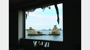 [책의 향기]죽음의 땅에도 봄은 오는가