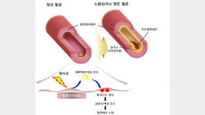 국내 연구진, 방사선 치료 부작용 줄이는 방법 발견